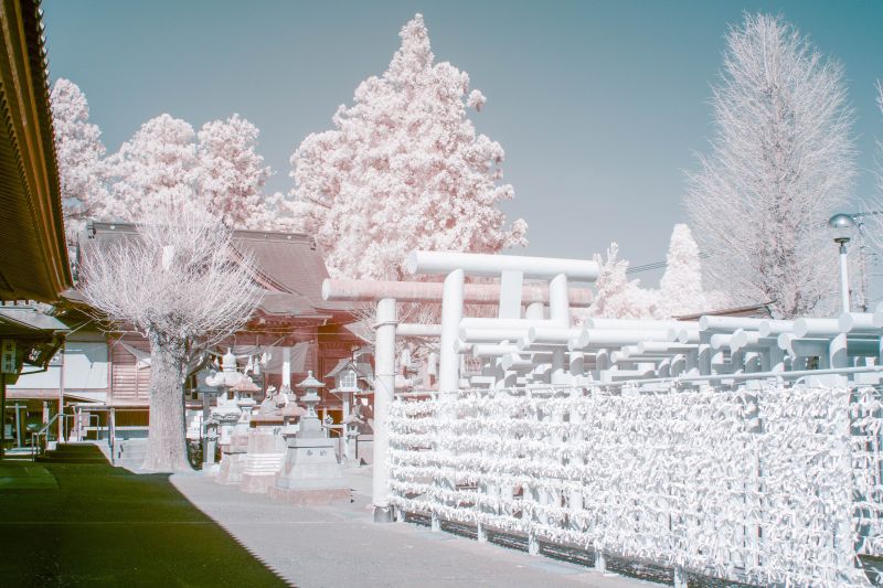 Kamakura như biến thành xứ sở thần tiên bí ẩn qua ảnh chụp hồng ngoại của yuuui Kamakura như biến thành xứ sở thần tiên bí ẩn qua ảnh chụp hồng ngoại của yuuui